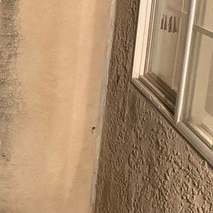 Meet your Posher, Jesse